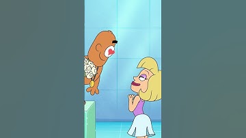 Transplantation of Dolphin Lungs to a Human