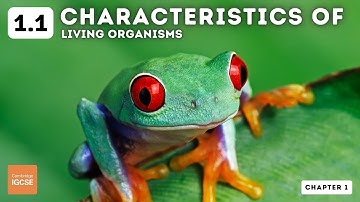 IGCSE Biology - Characteristics of Living Organisms (1.1)