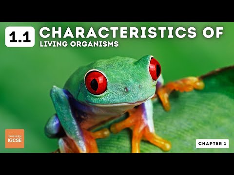 1.1 Characteristics of Living Organisms