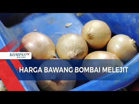 Harga Bawang Bombay Per Kg
