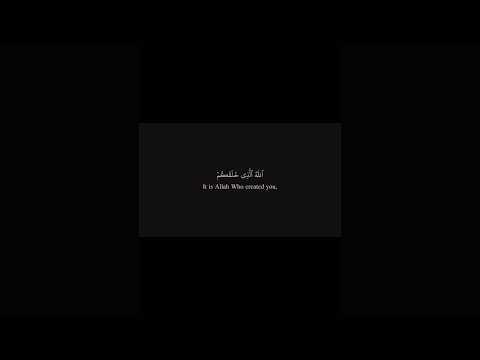 Surah Ar-Rum (30:40) Explanation -Yasser Al dosari #yasseraldossary #recitation #shortsfeed