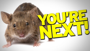 Half-Human Mice Are Going To Take Over The World!