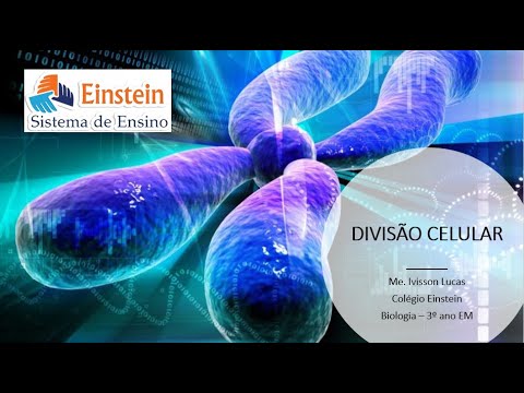 Correção de questões sobre Ciclo Celular
