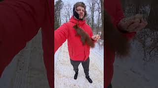 Shy Squirrel Vs. Bold Squirrel