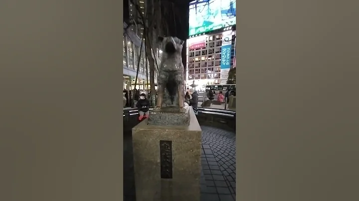 Love dog by Japanese💖😘💝Hachiko's monument  in Shibuya,🥰😍🥰for his loyalty to his master💯🐶💝💖💓