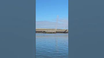 Harlingen's lifelike sperm whale fountain