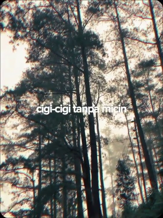 Uh Sadap II Lirik Lagu Viral Di Tiktok #uhsadap #trending #viralditiktok