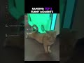 Ranking Top 5 Funny Moments | Part 14