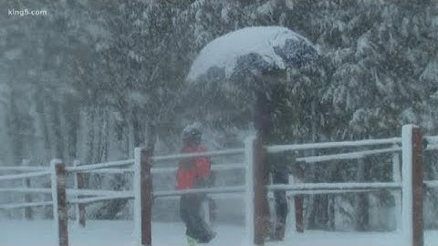 KING 5 Puget Sound snow coverage - 10 PM