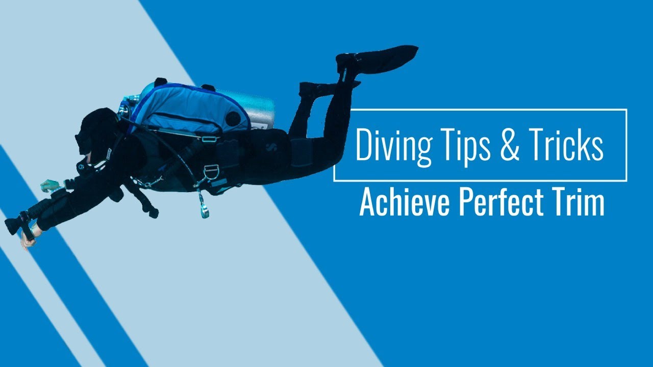 Diving Tips & Tricks Perfecting your Trim YouTube
