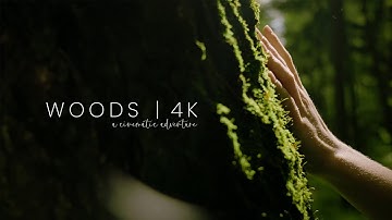 The Woods: A Cinematic Adventure in 4K