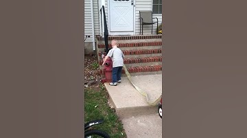 Forward Lay Evolution