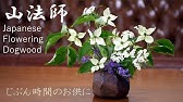 生け花 3つのポイントで自由花も簡単 基本 Ikebana Let Ikebana Be Free In 3 Steps Youtube 生け花 3つのポイントで自由花も簡単 基本 Ikebana Let Ikebana Be Free In 3 Steps Youtube