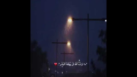 قرأن كريم القاري عبدالرحمن مسعد أجمل تلاوة🌺 حالات واتس اب صوت يريح القلب❤️