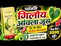 गिलोय आंवला जूस (स्वरस) के फ़ायदे| Patanjali Giloy Amla Juice Benefits|