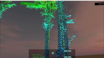 Virtual Reality Forest Tree Assessment / Inventory