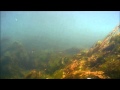 Подводная прогулка озеро Кенон Чита