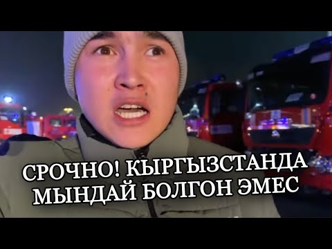 Video: Портодон Мадридке поезд, автобус, унаа жана учак менен кантип жетсе болот