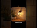 Vintage LED Night Light Automatic Dusk to Dawn Sensor for Any Room