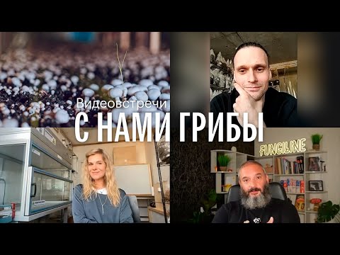 С нами грибы. Выращивание грибов в городских условиях. Кирилл Аксенов, Анна Ильвер