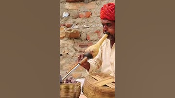 Thumbnail of Snake Charmer performance on Street #trending