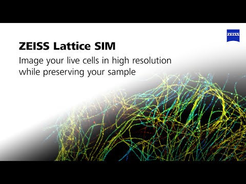 ZEISS Lattice SIM | Image your live cells in high resolution while preserving your sample