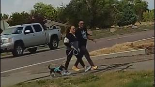 Dog Nutter Couple Escorts Mutt While Walking