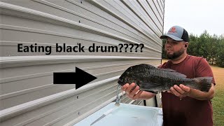 Gigging mullet and black drum! Black drum catch, clean, cook!!