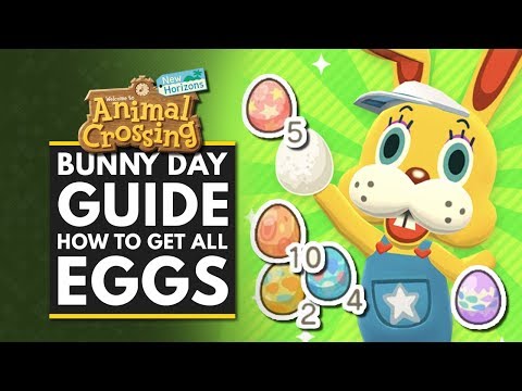 Cover image for YouTube video