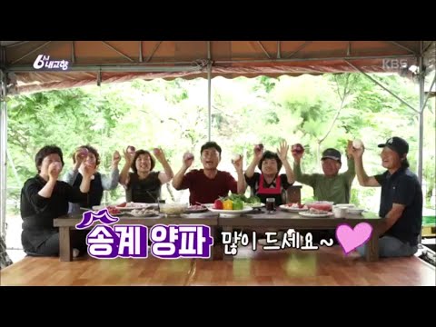 <strong>월악산</strong> 송계 양파 - 충북 제천 [6시 내고향] 20200626
