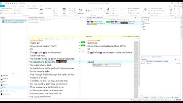 Using Concordance in SDL Trados Studio