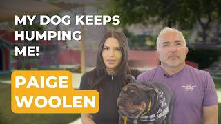 When an Influencer’s Dog Is Out of Control | Cesar Solves the Case