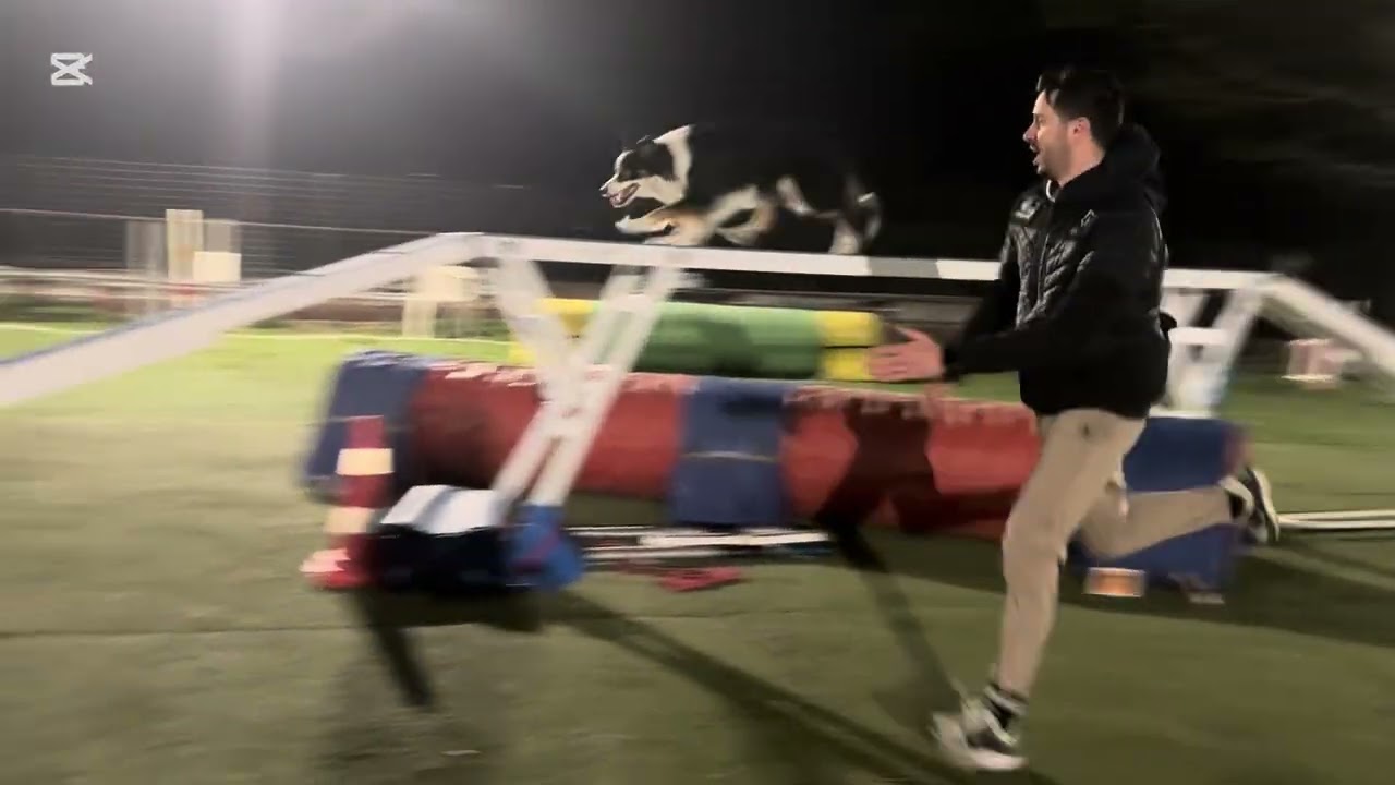 Allenamento Link - 3/5 marzo 2026