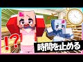 時間を止めてお姉ちゃんにイタズラするマインクラフト