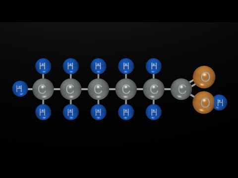 Thumbnail for the embedded element "Fat: Part 1 of 4 "Free Fatty Acids and Triglycerides""