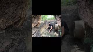 #bushcraft #campping #camping #survival #wood #bamboo #setup #camp #woodworking #outdoors #shelter