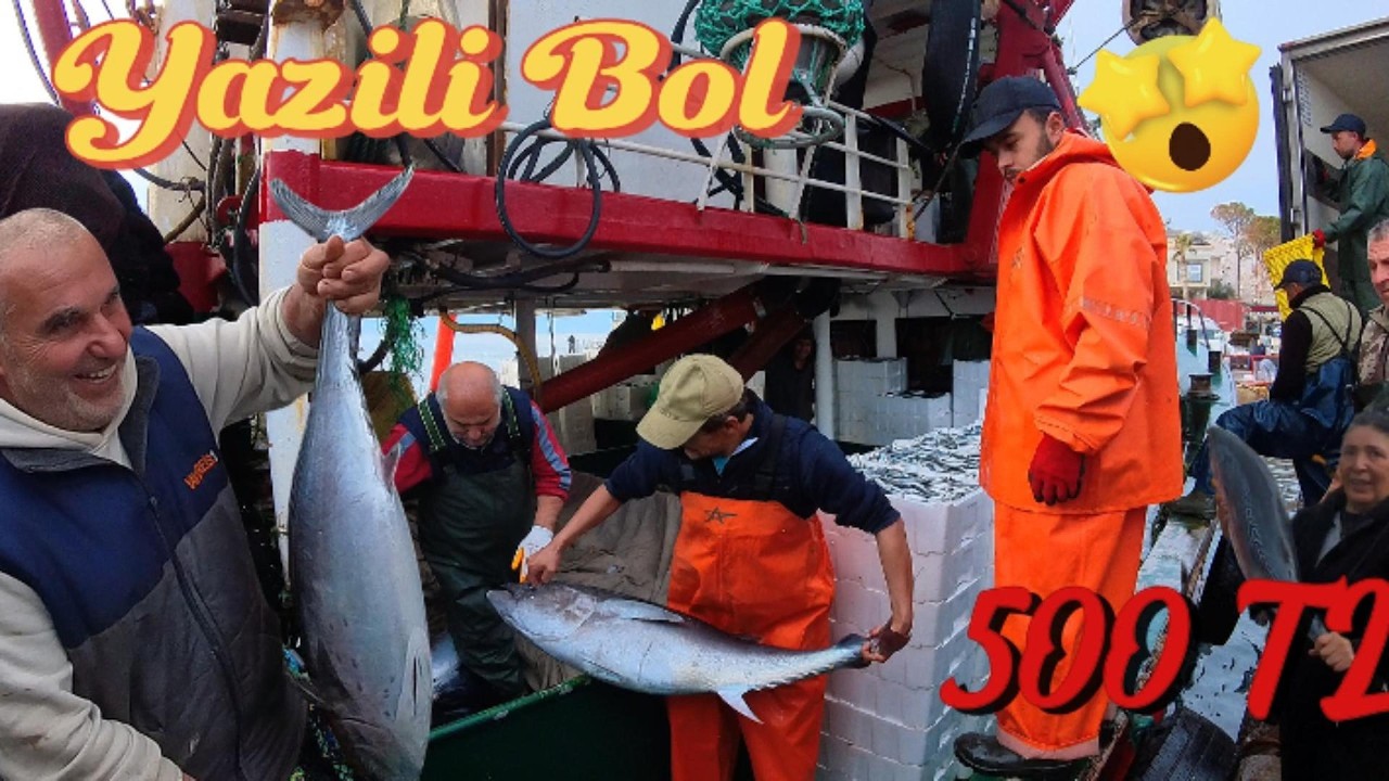 Direkt Gemiden Satış! 7 -10 Kiloluk Tombik Kapış Kapış Gitti 🔥