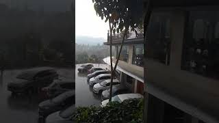 Download Lagu hujan di puncak bogor MP3 Download Lagu hujan di puncak bogor MP3