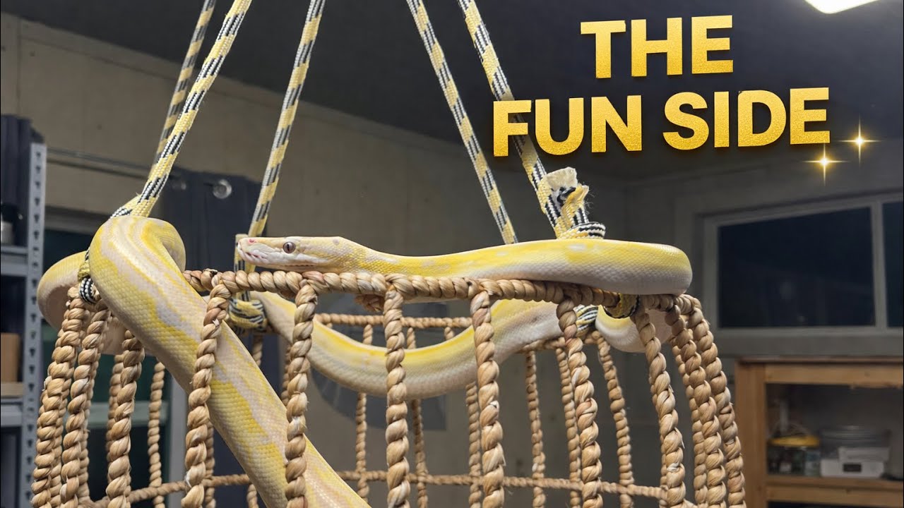 Yes… They Have Playgrounds