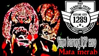 rampokan simo barong (Rogo Samboyo Putro) live lap. Brimob kediri rampokan simo barong (Rogo Samboyo Putro) live lap. Brimob kediri