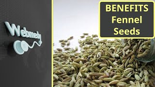 Health Benefits of Fennel Seeds | Top 10 Benefits