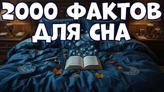 2000 BEST SLEEP FACTS IN ONE VIDEO screenshot 4