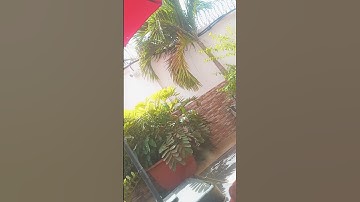 #السعودية #القزابري #المصحف #اكسبلور #اكسبلور #دويتو #قصص#سورة #القزابري #duet #yasseraldossary