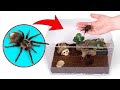 GUAU Una Casa Perfecta Para Tu Mascota Araña Ideas Fáciles Y Divertidas Para Dueños De Mascotas GUAU Una Casa Perfecta Para Tu Mascota Araña Ideas Fáciles Y Divertidas Para Dueños De Mascotas