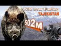 Wild boar hunting in tadjikistan 12  chasse au sanglier au tadjikistan 12  2022