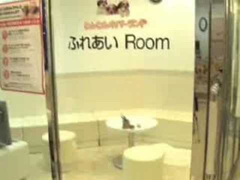 わんわんネバーランド　CM