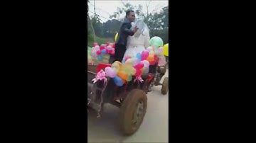 Màn rước dâu bằng xe công nông độc đáo ở Tân Kỳ, Nghệ An