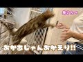 一週間ぶりの奥さんとの再会に喜びが止まらないロゼ!!