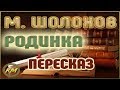 Родинка. Михаил Шолохов