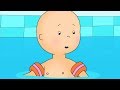 Caillou at the Swimming Pool | Caillou Cartoon